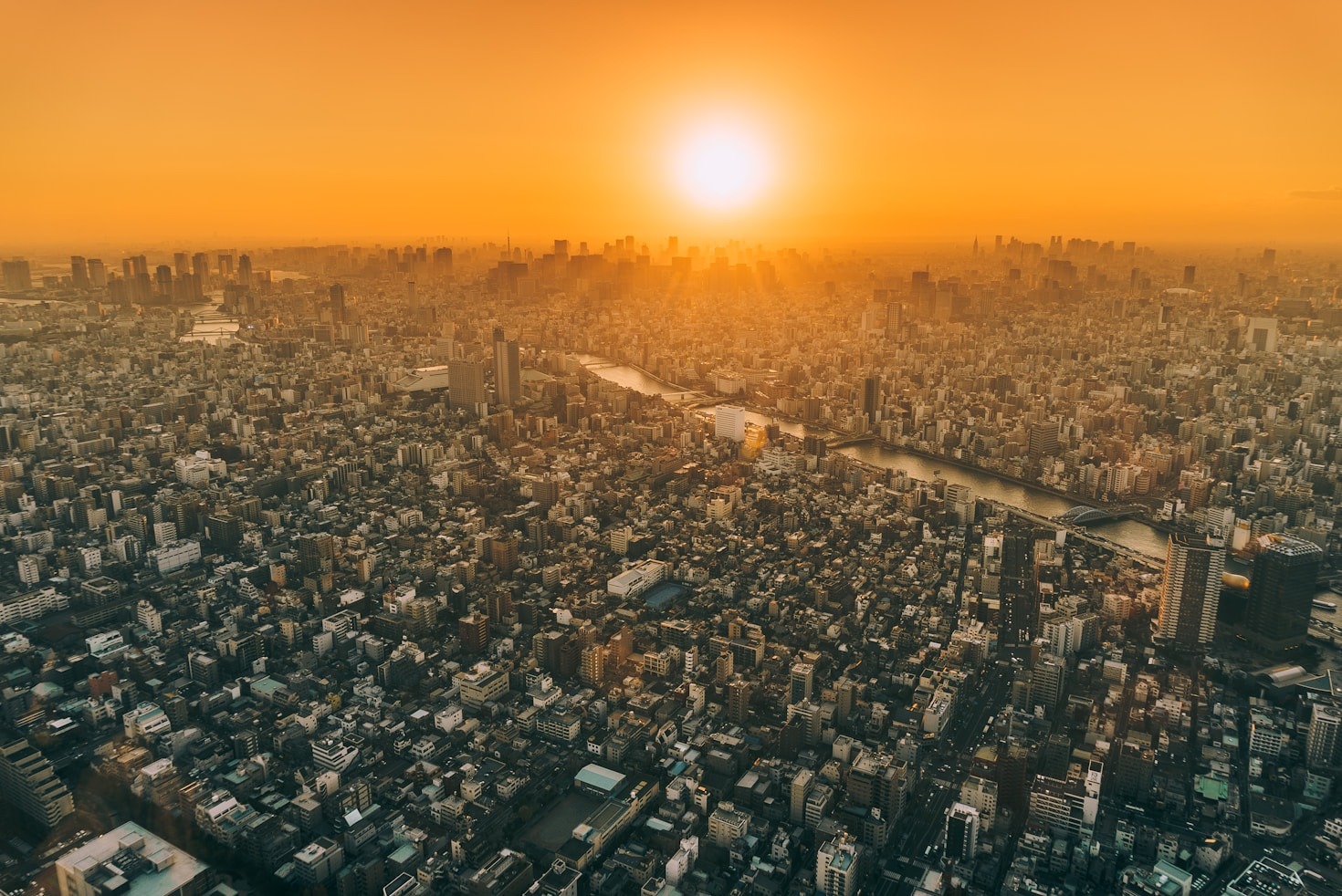 The Role of Development Companies in Building Future Cities